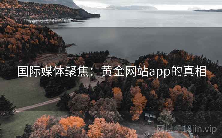 国际媒体聚焦:黄金网站app的真相  第2张 国际媒体聚焦:黄金网站app的真相  第2张