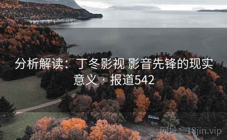 分析解读:丁冬影视 影音先锋的现实意义 · 报道542